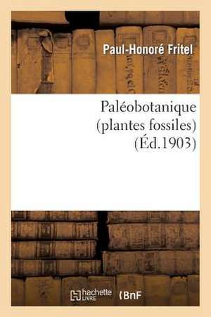 Paleobotanique (Plantes Fossiles)