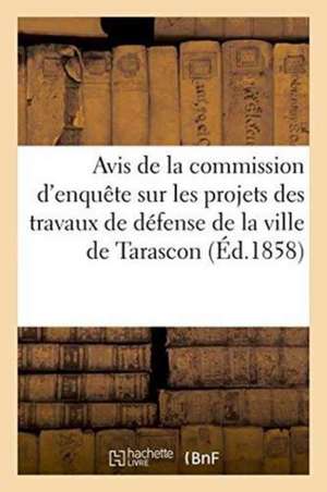 Avis de la Commission d'Enquête Sur Les Projets Des Travaux de Défense de la Ville de Tarascon de Tarascon Bouchesdurhone