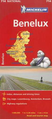 Michelin Benelux Map 714 de Michelin Travel & Lifestyle