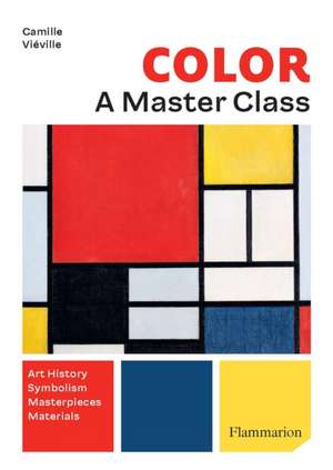 Colour: A Masterclass de Camille Vieville