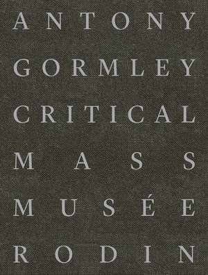 Antony Gormley: Critical Mass de Sophie Biass-Fabiani