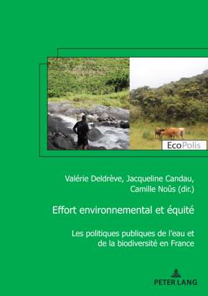 Effort Environnemental Et Equite