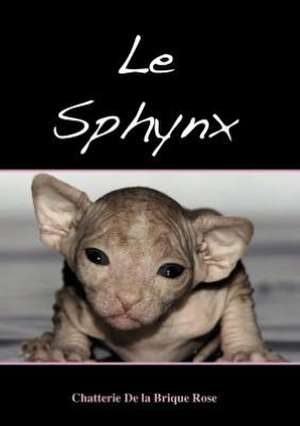 Le sphynx de Jean-Claude Dufour