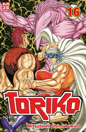 Toriko 16 de Mitsutoshi Shimabukuro