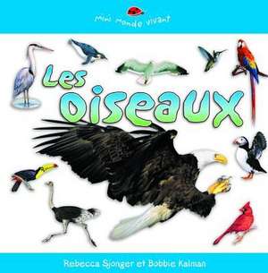 Les Oiseaux de Rebecca Sjonger