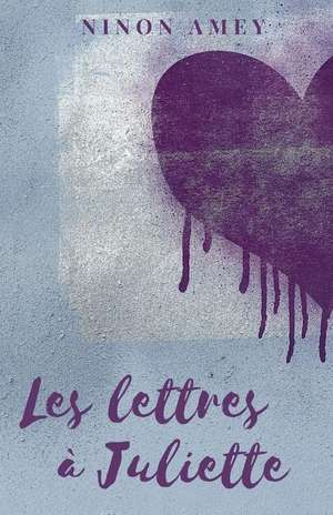 Les lettres à Juliette de Ninon Amey