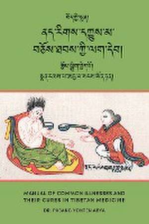 Manual of Common Illnesses and Their Cures in Tibetan Medicine (Nad rigs dkyus ma bcos thabs kyi lag deb) de Pasang Yonten Arya