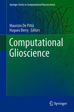 Computational Glioscience de Maurizio De Pittà