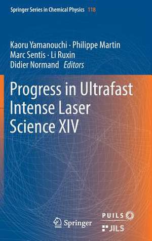 Progress in Ultrafast Intense Laser Science XIV de Kaoru Yamanouchi