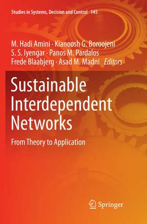 Sustainable Interdependent Networks de M. Hadi Amini