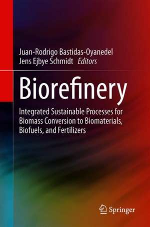 Biorefinery: Integrated Sustainable Processes for Biomass Conversion to Biomaterials, Biofuels, and Fertilizers de Juan-Rodrigo Bastidas-Oyanedel