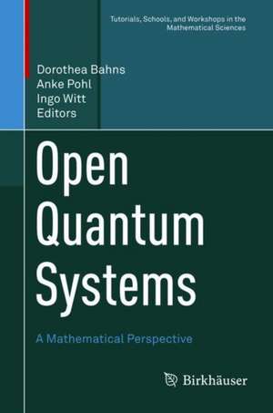 Open Quantum Systems: A Mathematical Perspective de Dorothea Bahns