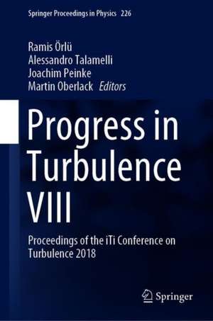 Progress in Turbulence VIII: Proceedings of the iTi Conference in Turbulence 2018 de Ramis Örlü