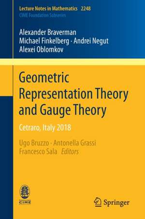 Geometric Representation Theory and Gauge Theory: Cetraro, Italy 2018 de Alexander Braverman