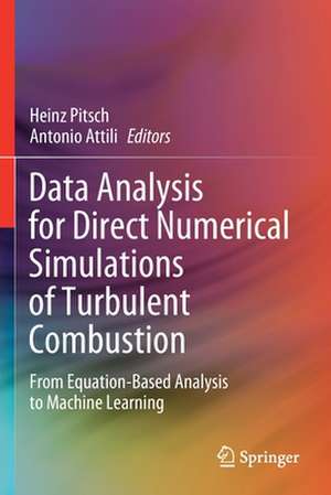 Data Analysis for Direct Numerical Simulations of Turbulent Combustion: From Equation-Based Analysis to Machine Learning de Heinz Pitsch