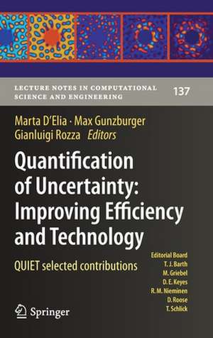 Quantification of Uncertainty: Improving Efficiency and Technology: QUIET selected contributions de Marta D'Elia