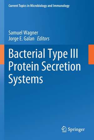 Bacterial Type III Protein Secretion Systems de Samuel Wagner