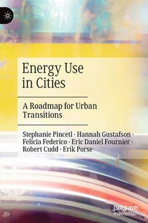 Energy Use in Cities: A Roadmap for Urban Transitions de Stephanie Pincetl