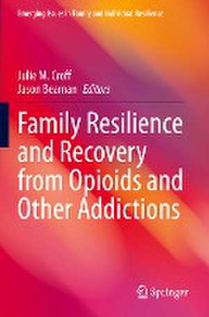 Family Resilience and Recovery from Opioids and Other Addictions de Julie M. Croff