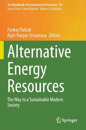 Alternative Energy Resources: The Way to a Sustainable Modern Society de Pankaj Pathak