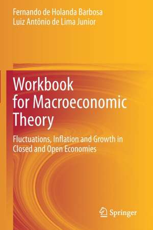 Workbook for Macroeconomic Theory: Fluctuations, Inflation and Growth in Closed and Open Economies de Fernando de Holanda Barbosa