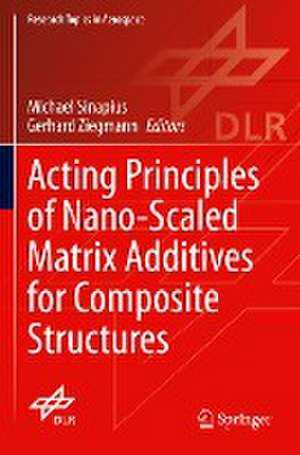 Acting Principles of Nano-Scaled Matrix Additives for Composite Structures de Michael Sinapius