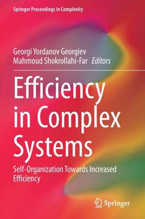 Efficiency in Complex Systems: Self-Organization Towards Increased Efficiency de Georgi Yordanov Georgiev