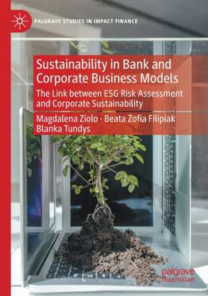 Sustainability in Bank and Corporate Business Models: The Link between ESG Risk Assessment and Corporate Sustainability de Magdalena Ziolo