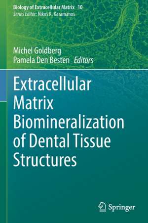 Extracellular Matrix Biomineralization of Dental Tissue Structures de Michel Goldberg