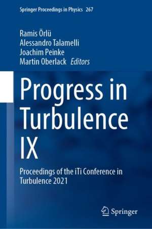 Progress in Turbulence IX: Proceedings of the iTi Conference in Turbulence 2021 de Ramis Örlü