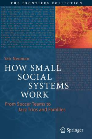 How Small Social Systems Work: From Soccer Teams to Jazz Trios and Families de Yair Neuman