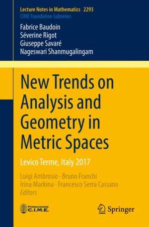 New Trends on Analysis and Geometry in Metric Spaces: Levico Terme, Italy 2017 de Luigi Ambrosio