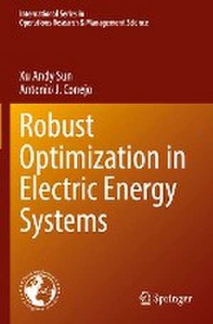 Robust Optimization in Electric Energy Systems de Xu Andy Sun