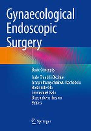 Gynaecological Endoscopic Surgery: Basic Concepts de Jude Ehiabhi Okohue