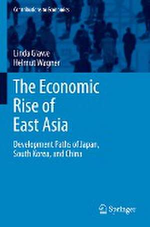 The Economic Rise of East Asia: Development Paths of Japan, South Korea, and China de Linda Glawe