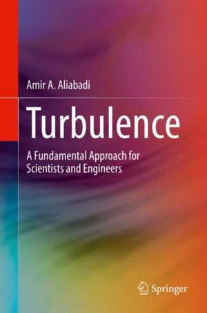 Turbulence: A Fundamental Approach for Scientists and Engineers de Amir A. Aliabadi