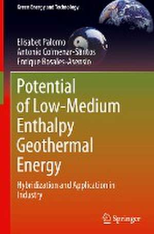 Potential of Low-Medium Enthalpy Geothermal Energy: Hybridization and Application in Industry de Elisabet Palomo