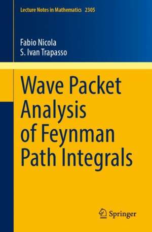 Wave Packet Analysis of Feynman Path Integrals de Fabio Nicola