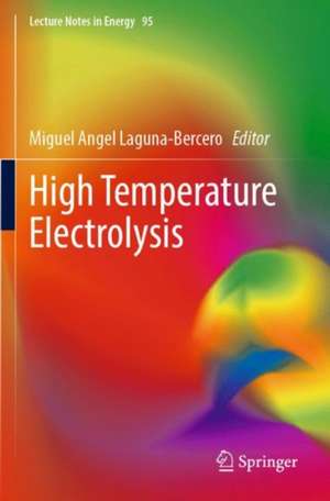 High Temperature Electrolysis de Miguel Angel Laguna-Bercero