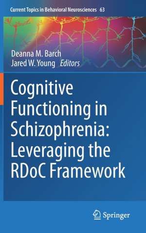 Cognitive Functioning in Schizophrenia: Leveraging the RDoC Framework de Deanna M. Barch