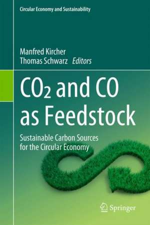 CO2 and CO as Feedstock: Sustainable Carbon Sources for the Circular Economy de Manfred Kircher