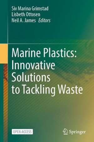 Marine Plastics: Innovative Solutions to Tackling Waste de Siv Marina Flø Grimstad