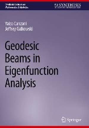 Geodesic Beams in Eigenfunction Analysis de Yaiza Canzani