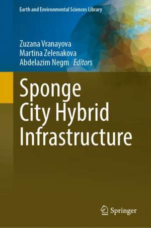 Sponge City Hybrid Infrastructure de Zuzana Vranayova