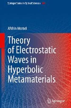 Theory of Electrostatic Waves in Hyperbolic Metamaterials de Afshin Moradi