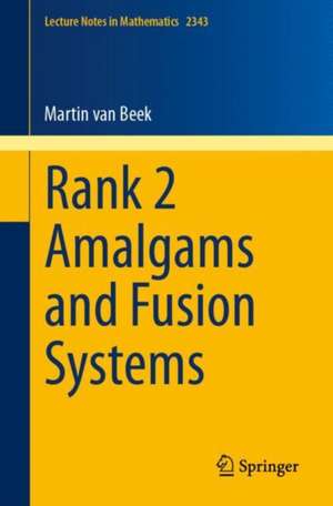 Rank 2 Amalgams and Fusion Systems de Martin van Beek