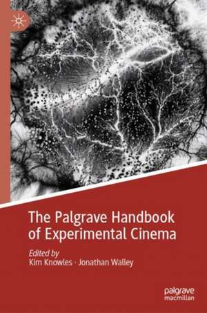 The Palgrave Handbook of Experimental Cinema de Kim Knowles