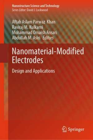 Nanomaterial-Modified Electrodes de Aftab Aslam Parwaz Khan