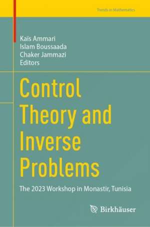 Control Theory and Inverse Problems de Kaïs Ammari