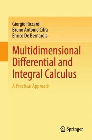 Multidimensional Differential and Integral Calculus: A Practical Approach de Giorgio Riccardi